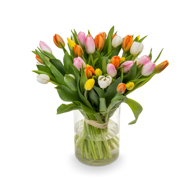 Bouquet of tulips
